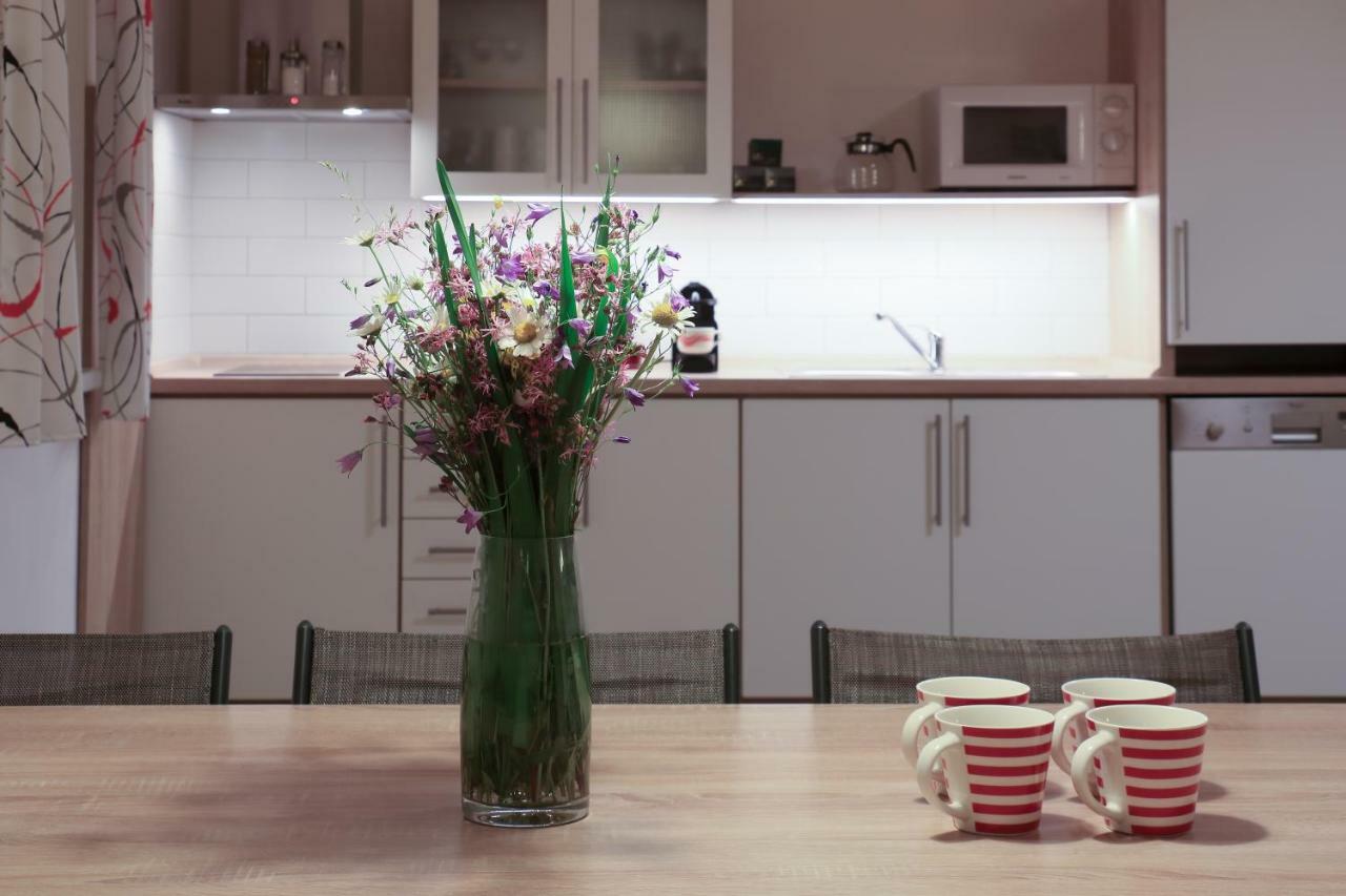 U Prvni Skaly Apartment
